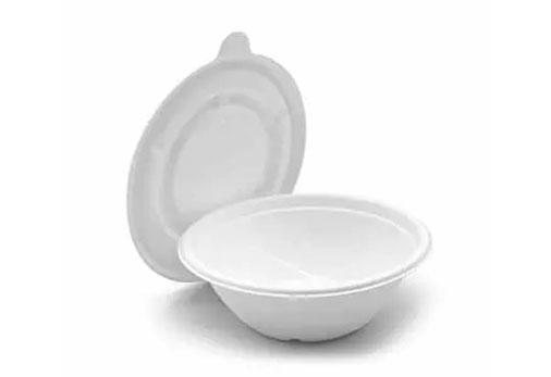 Зеленые инновации: универсальность упаковочного материала Bagasse Зеленые инновации: универсальность упаковочного материала Bagasse