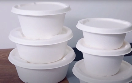 Одноразовая биоразлагаемая чаша сахарного тростника Bagasse