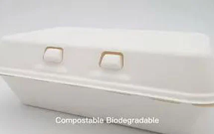 Одноразовая биоразлагаемая раскладушка Bagasse на 900 мл LZ-0188