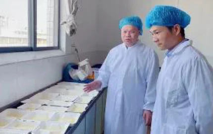 Живое видео производственной базы 3-1