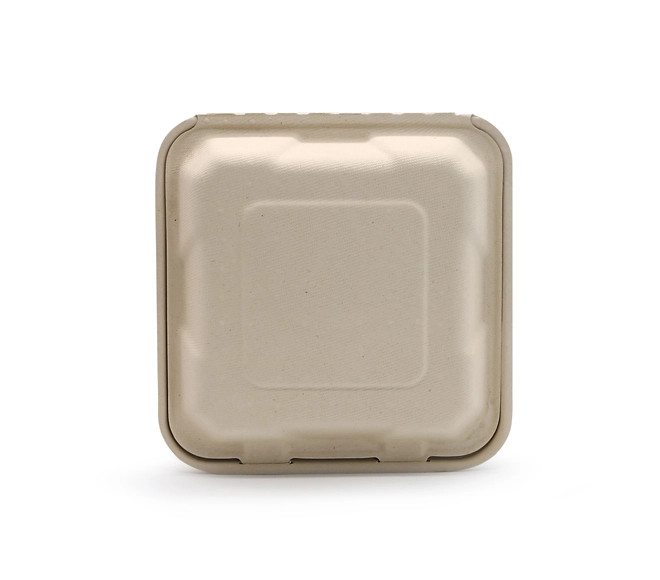 biodegradable lunch containers