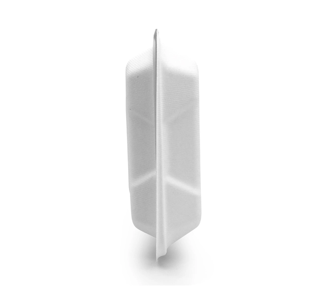 disposable food containers