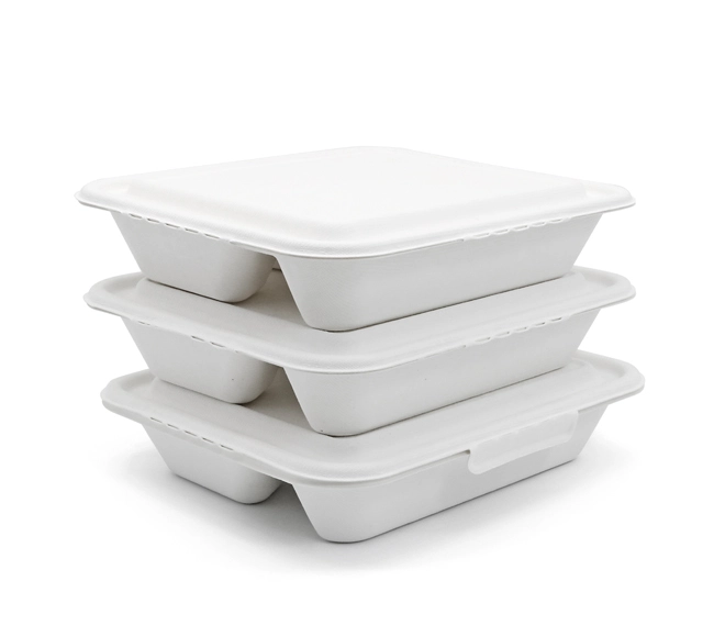 sugar bagasse packaging