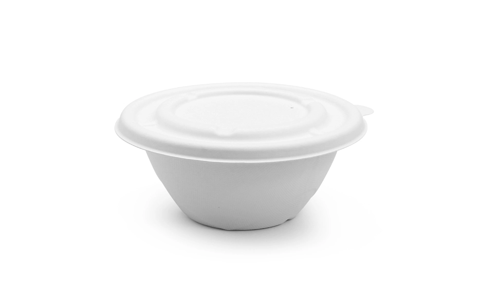 eco friendly food packaging market