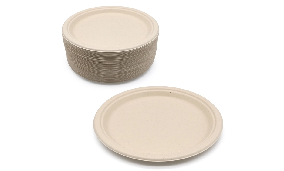 bagasse tableware