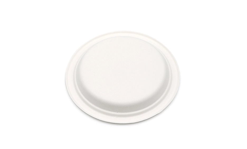 biodegradable plates and spoons