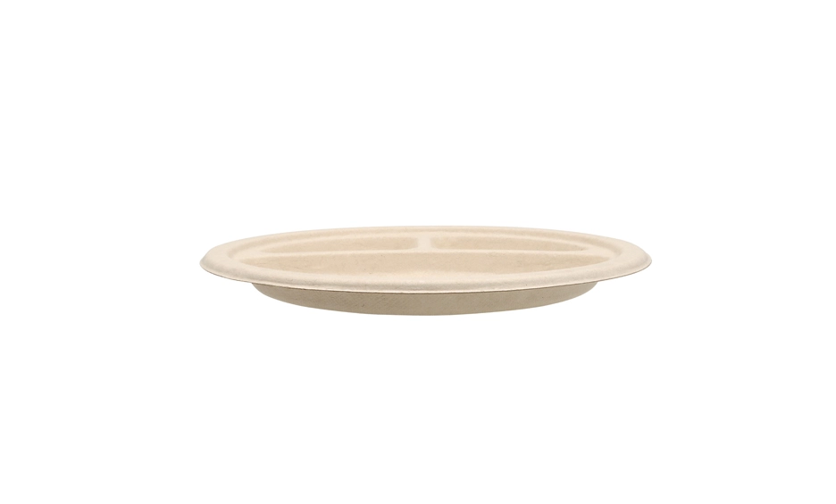 disposable food plate