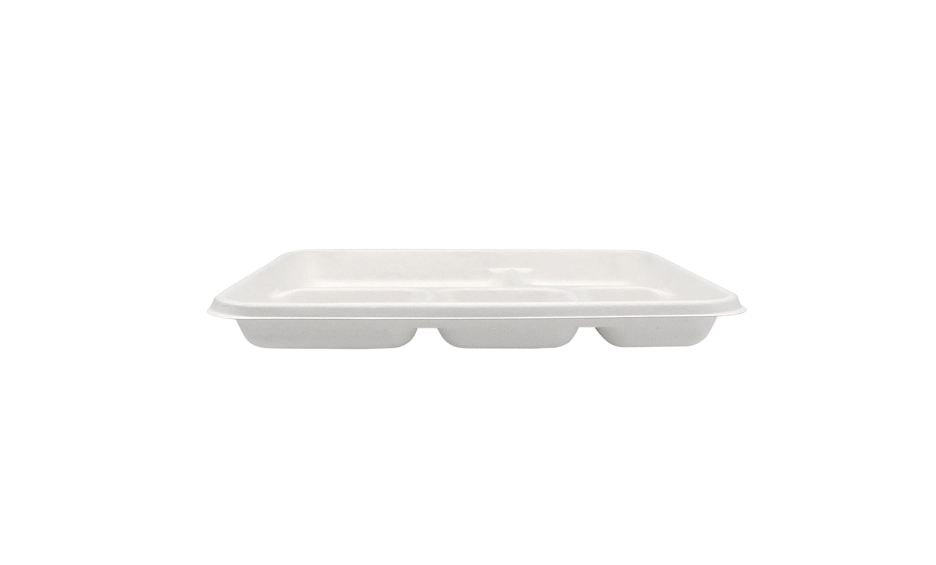 eco cups with lids