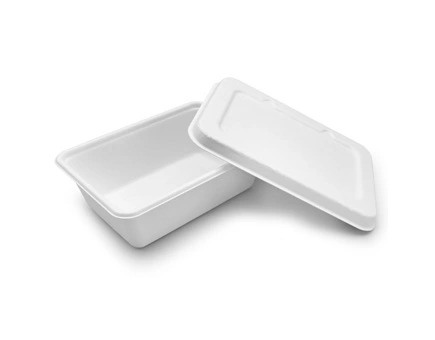Примите устойчивость с помощью оптовых столовых приборов Bagasse: победа для бизнеса и планеты Примите устойчивость с помощью оптовых столовых приборов Bagasse: победа для бизнеса и планеты